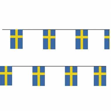 2x papieren vlaggenlijnen zweden