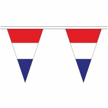 2x stuks nederlandse landen versiering vlaggetjes 5 meter