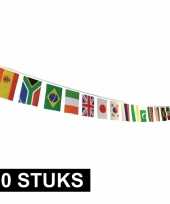 10x multi nationale vlaggenlijn