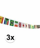 3x multi nationale vlaggenlijn