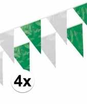 4x groen witte vlaggenlijntjes 10 m