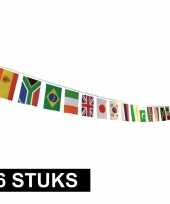 6x multi nationale vlaggenlijn