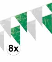 8x groen witte vlaggenlijntjes 10 m