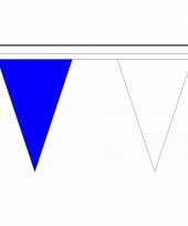 Luxe vlaggenlijnen blauw met wit