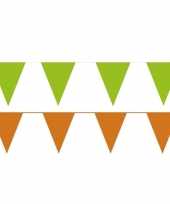 Orange and green thema party vlaggetjes 10113709